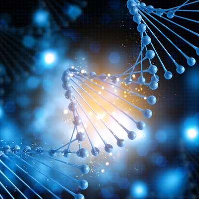 pET-3a大肠表达质粒